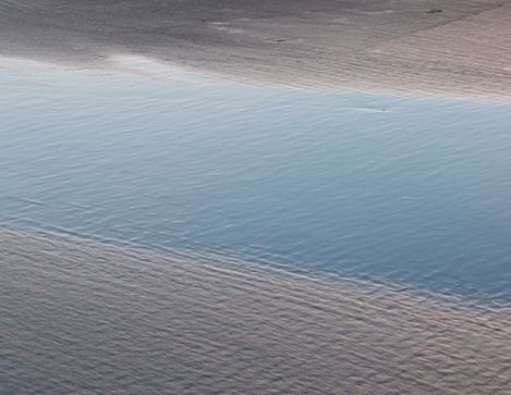 朱军杨钰莹现在的生活