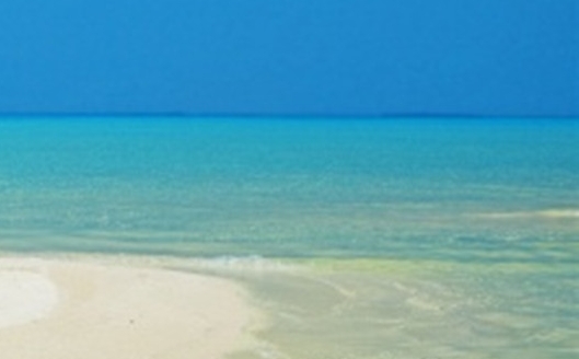 粉象生活有没有官网