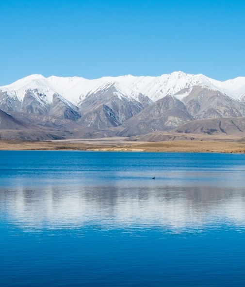 粉象生活手机版开店怎么开