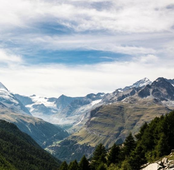 美的生活电器分销商城