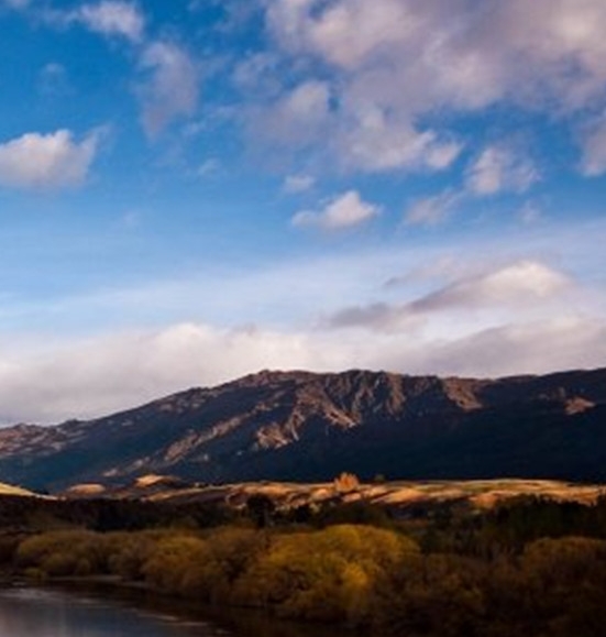 生活老师工作感悟简书