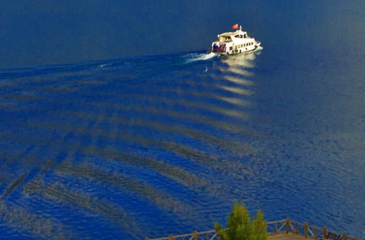 粉象生活邀请码