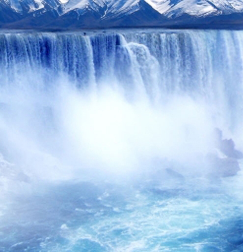 粉象生活可以赚钱吗