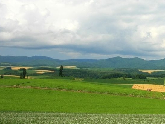 粉象生活合法吗