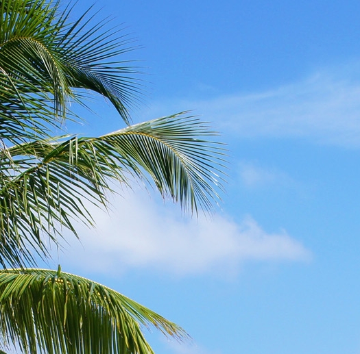 粉象生活可以赚钱吗