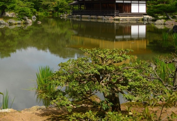 粉象生活可以赚钱吗