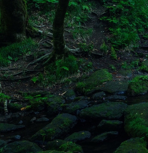 上海粉象生活真省钱