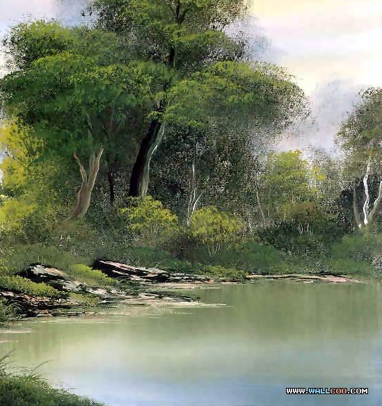 粉象生活邀请码