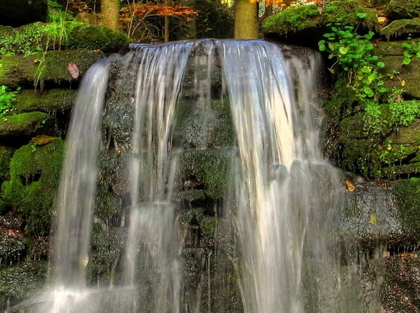 粉象生活问卷答案