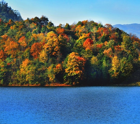粉象生活是不是靠分享赚钱