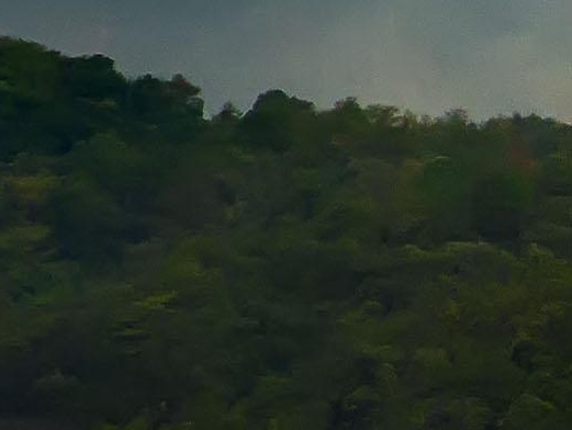 广州粉象生活公司