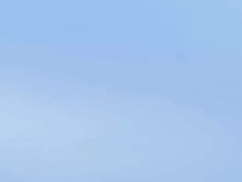 粉象生活是干嘛的