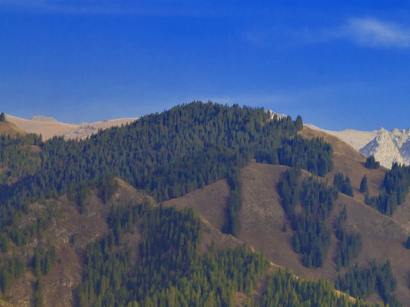 粉象生活下载app