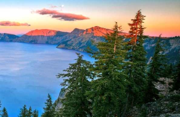 粉象生活开通会员有什么用