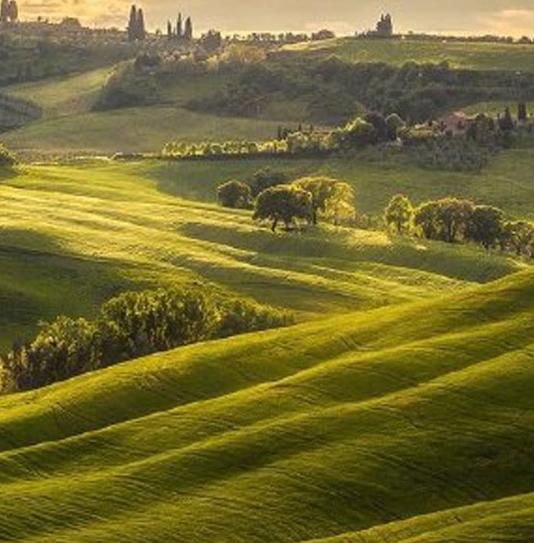 粉象生活东西是正品吗
