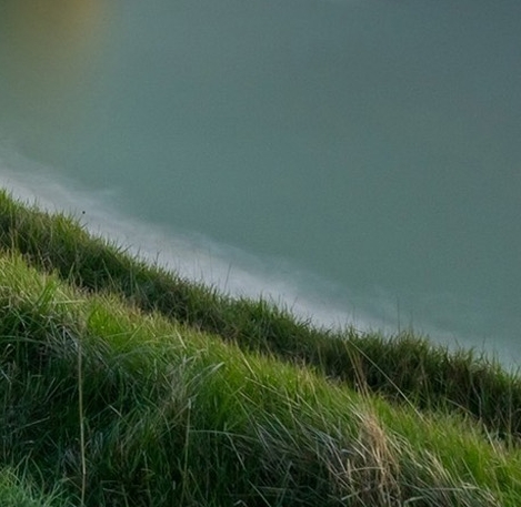 粉象生活优惠券100元