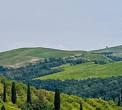 粉象生活下载app