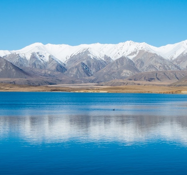 粉象生活下载app