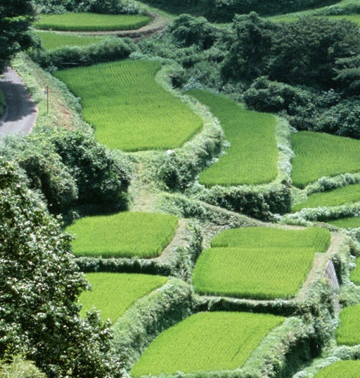 湖南省初快报名网站