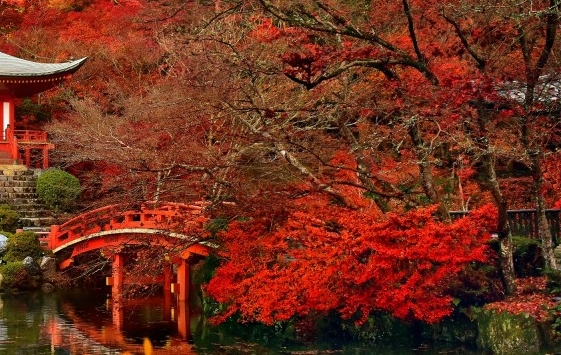 粉象生活是做什么的