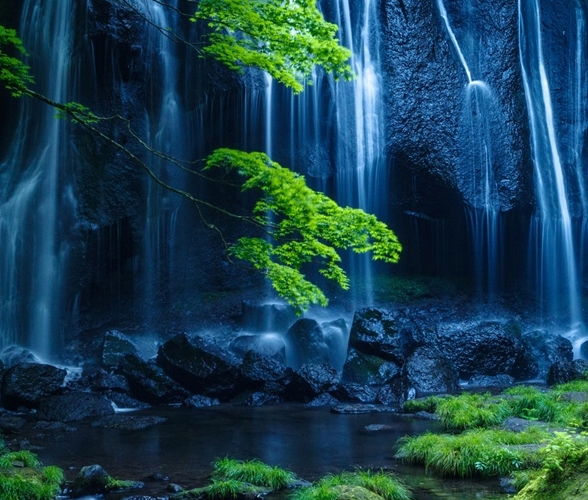 粉象生活佣金推广