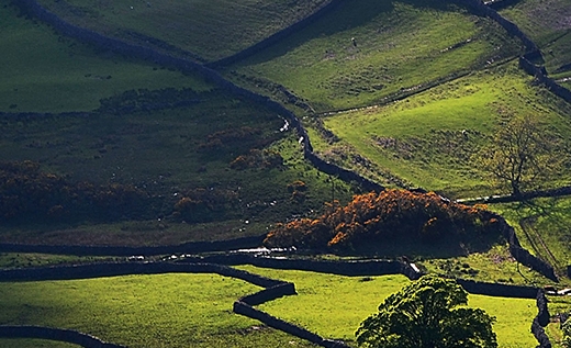 粉象生活大图标