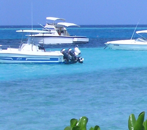 粉象生活分现金看完视频显示什么