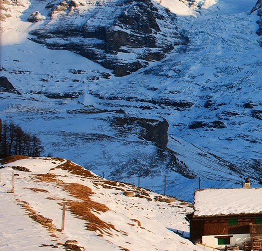 粉象生活可以换头像