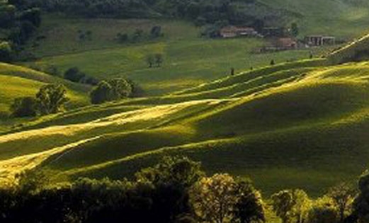 粉象生活里的游戏怎么下载