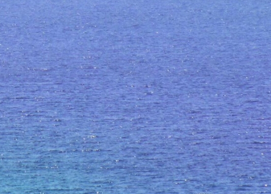 粉象生活有什么产品