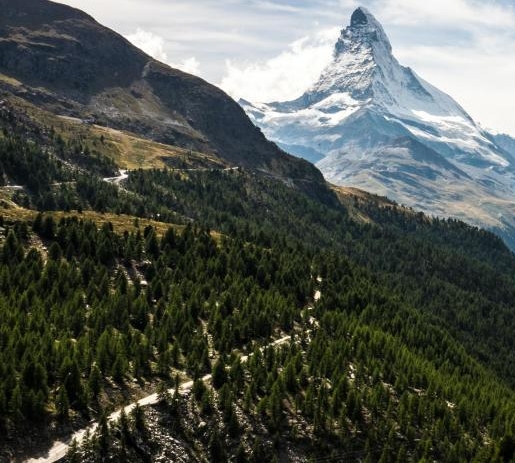 粉象生活有几种推广方式