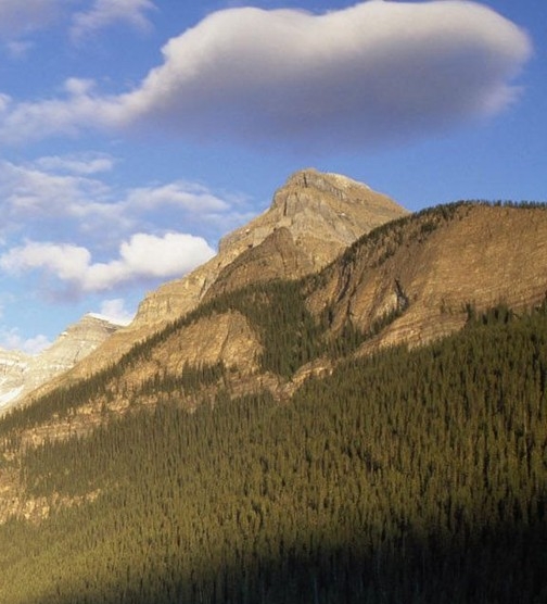 粉象生活邀请码