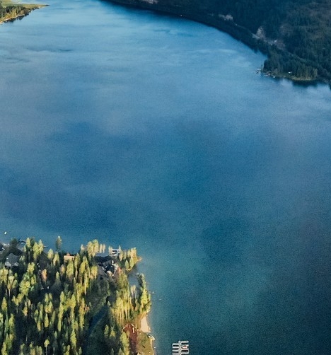 粉象生活是做什么的