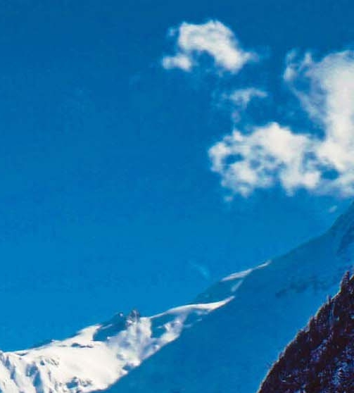 焦作生活圈app下载