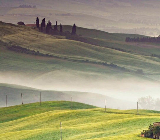 可以在闲鱼上推荐粉象生活