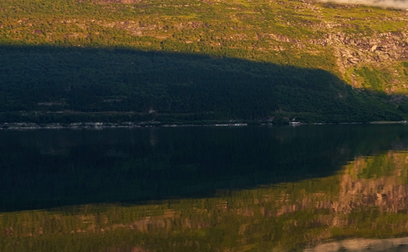 江西品质粉象生活官网