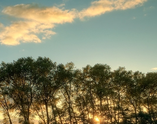 粉象生活与斑马