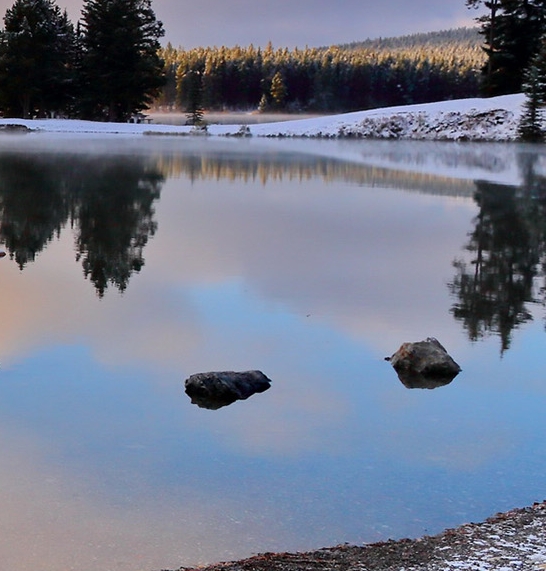 霸蛮湖南米粉官网