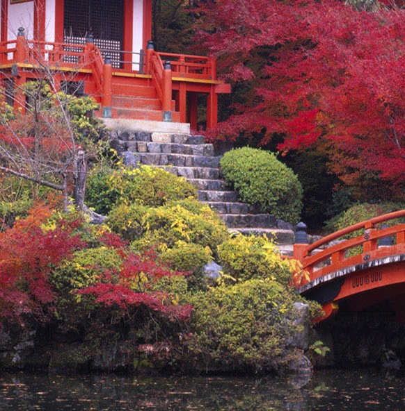 粉象生活可以赚钱吗