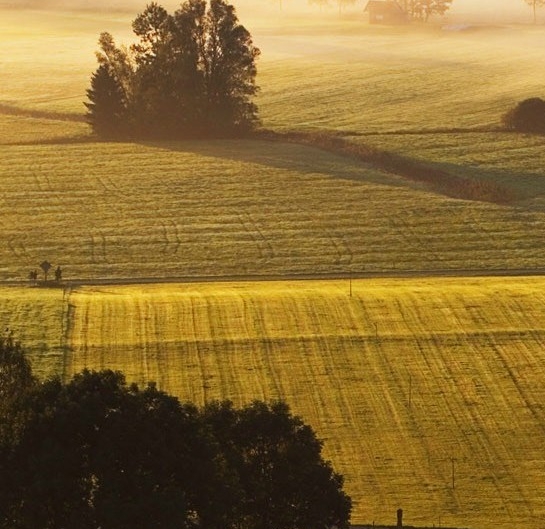 粉象生活是什么?