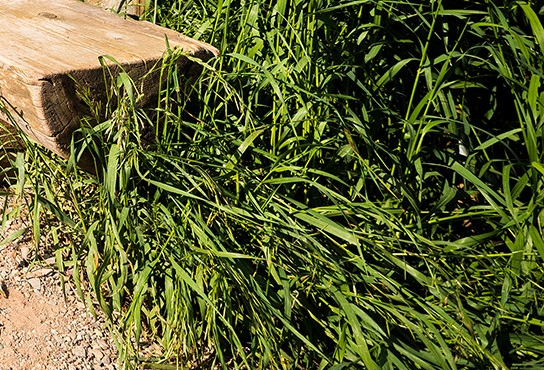 粉象生活vip礼包能退吗