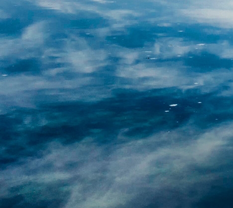 粉象生活下载app