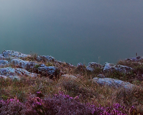 如何做好粉象生活