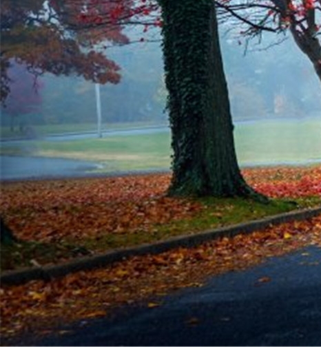 地摊经济的生活商业环境