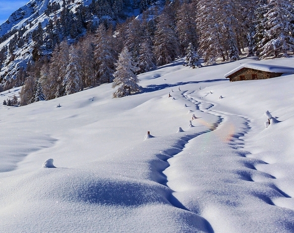 粉象生活彩票是真的吗