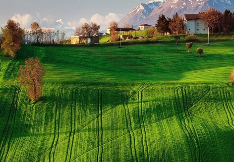 粉象生活代理商加盟条件