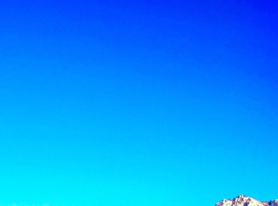 粉象生活的积分有什么用