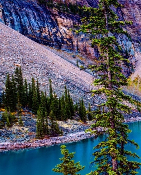 江西创新粉象生活软件