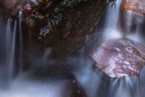 粉象生活发圈了有佣金嘛