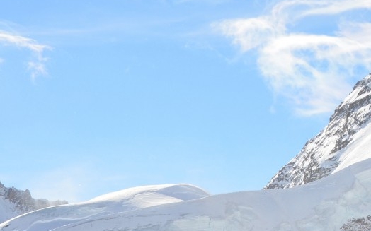 粉象生活下载app